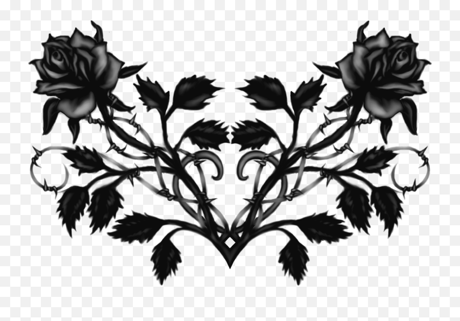 Download Black Rose - Transparent Black Rose Png,Black Rose Png