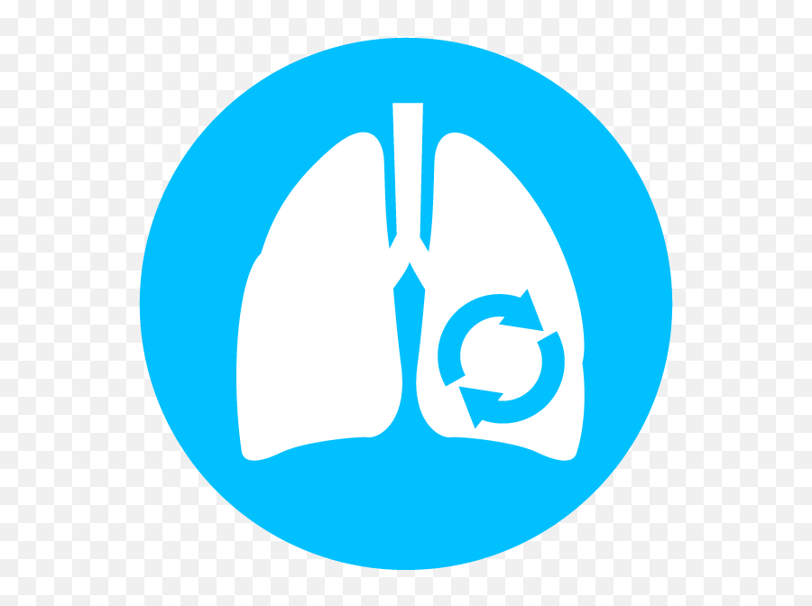 7 Reasons To Collect Breath Samples - Language Png,Breathing Icon
