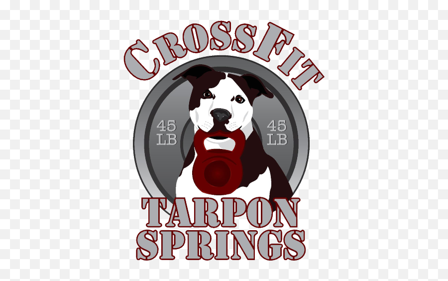 Crossfit Tarpon Springs The Results Driven Gym You Need - Language Png,Crossfit Icon