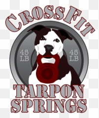 Crossfit Tarpon Springs The Results Driven Gym You Need - Language Png,Crossfit Icon