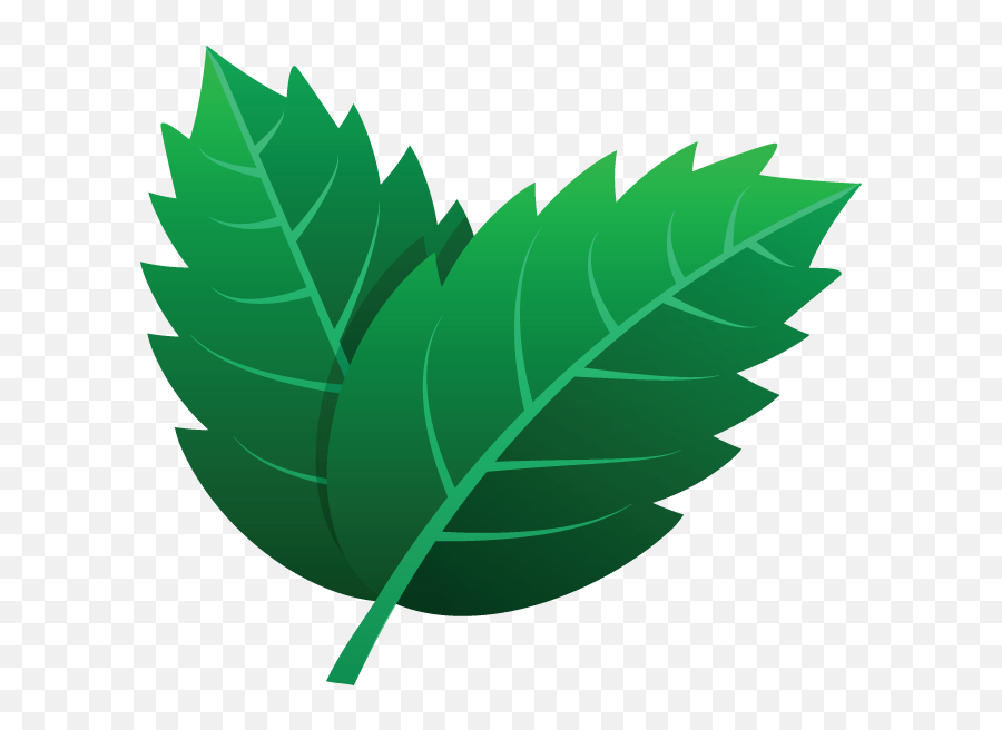 725 Leaves Icon - Leaf Gambar Daun Kartun Png,Leaf Icon Vector