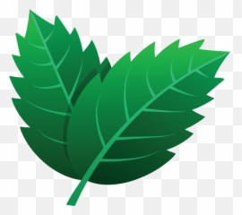 725 Leaves Icon - Leaf Gambar Daun Kartun png
