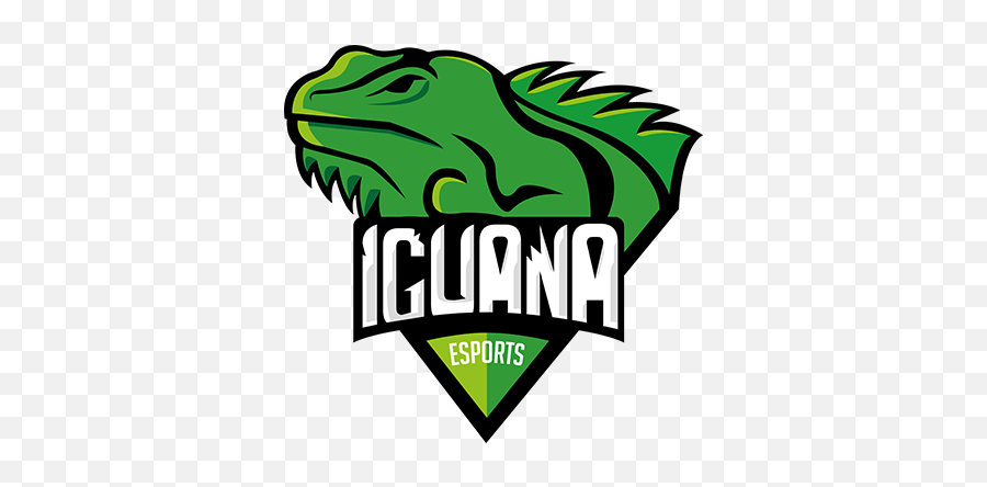 Iguana Esports - Iguana Png,Iguana Png