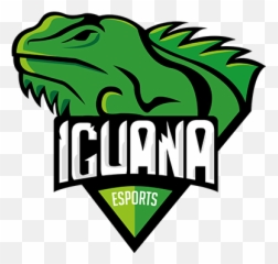 Iguana Esports - Iguana Png,Iguana Png