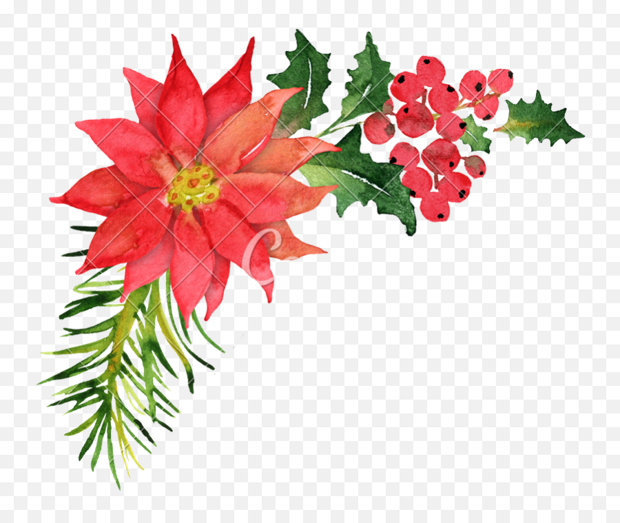 Poinsettia Bouquet Transparent Png - Poinsettia Clipart Transparent Background,Poinsettia Png