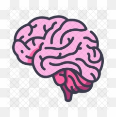 brain outline png