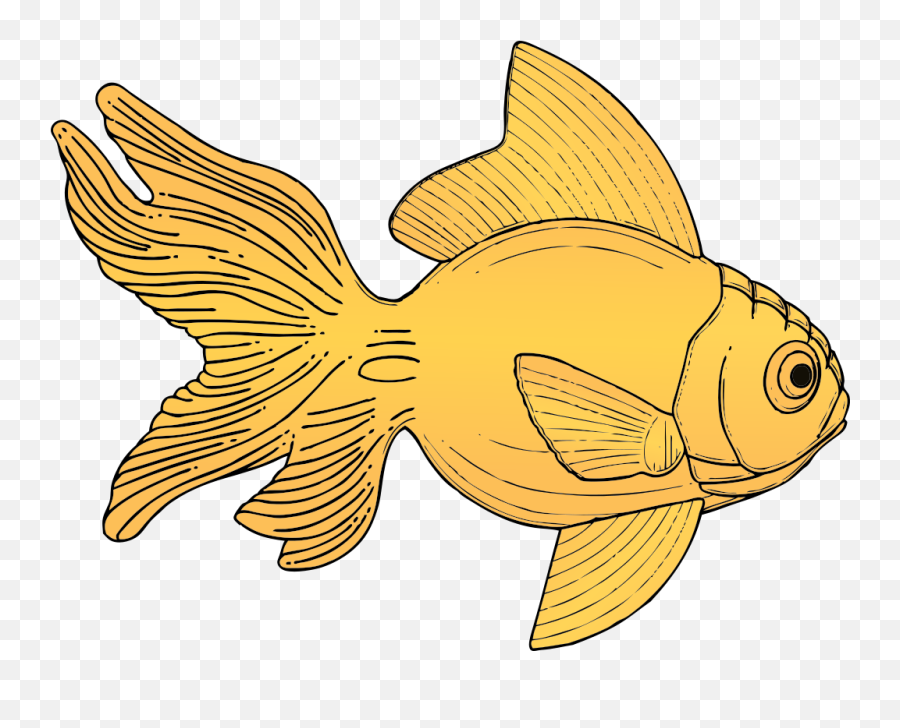 Golden Fish Png Svg Clip Art For Web - Download Clip Art Gold Fish Clip Art,Fish Clipart Png