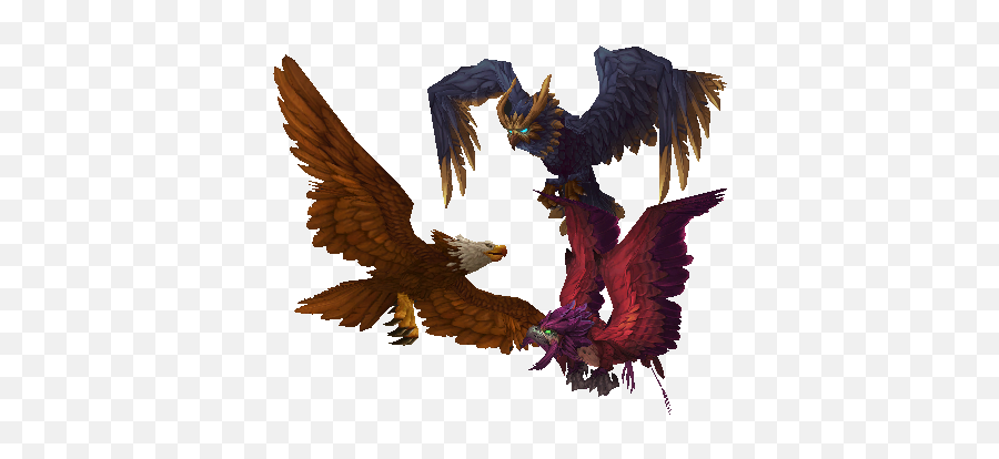 Bird Of Prey - World Of Warcraft Hawk Png,Prey Png