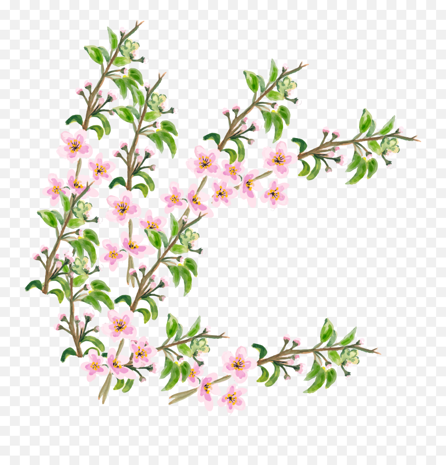 Flower Cherry Blossom - Ramo De Flores Vetor Png,Cherry Blossom Flower Png