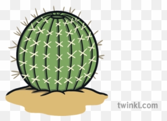 Short Round Cactus With Pricks - Ho Speech Bubble png