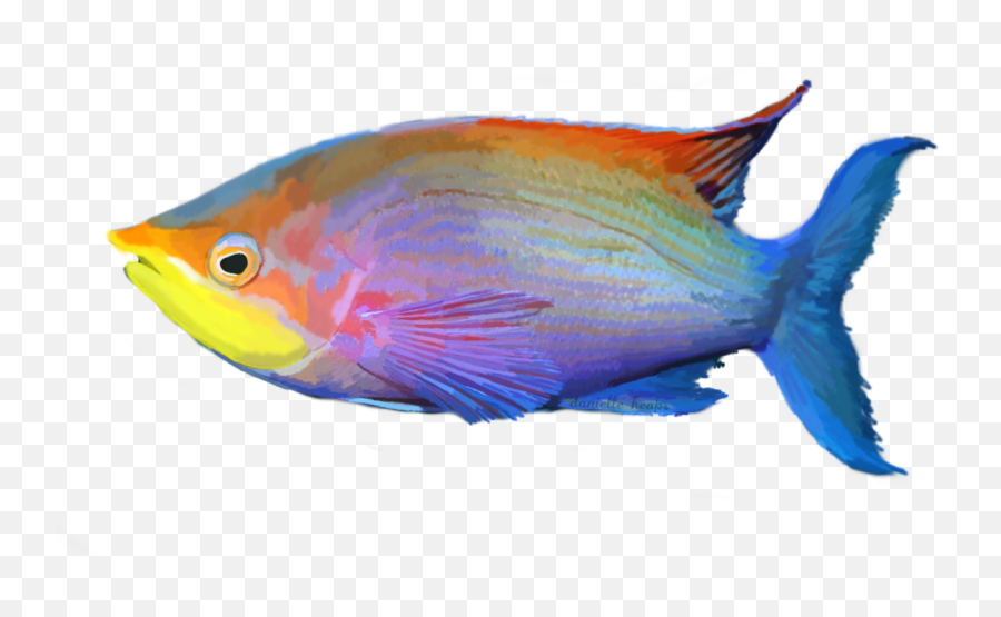 Download Tropical Fish Png - Tropical Fish Transparent Background,Salt Transparent Background