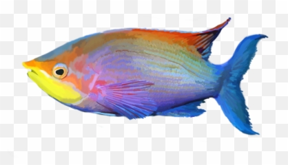 Download Tropical Fish Png - Transparent Background