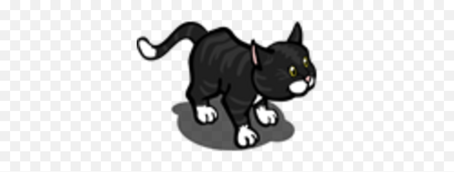 Black Cat Farmville Wiki Fandom - Domestic Cat Png,Black Cat Icon