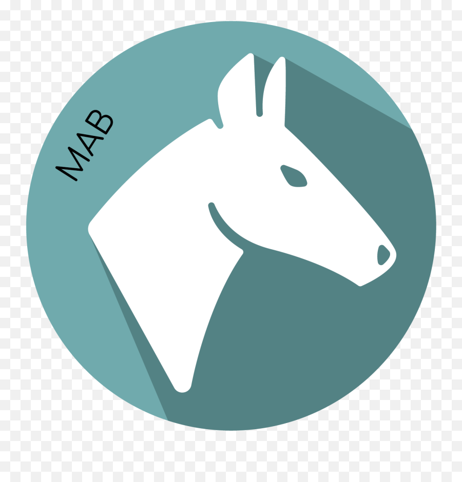 Anti Equine Igm - Ingezim Ahsv Compact Plus Png,Mule Icon