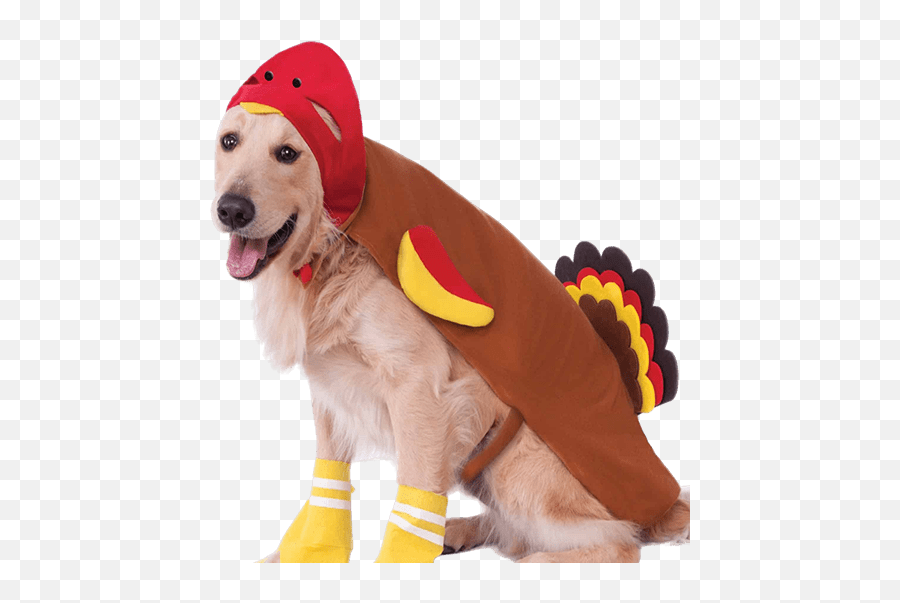 Pet Costume Center - Pet Costumes For Any Occasion Dogs In Costumes Png,Icon For Dog Toy