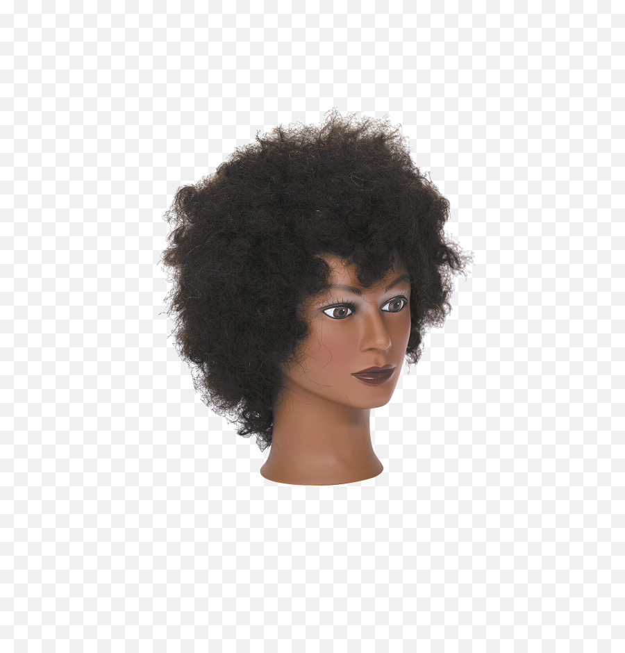 Manikin Png - Michelle Manikin Wcurly Hair Black Hair Afro,Curly Hair Png