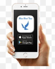 Home Live Now - Woman Hand Hold Phone Png