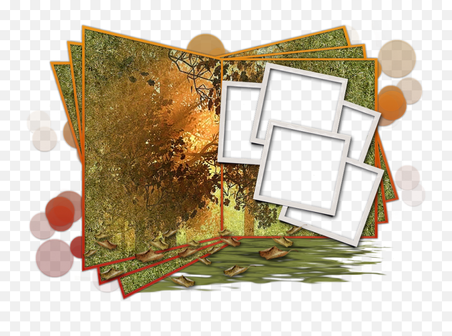 Three Cardbook Polaroid - Floral Design Png,Gold Bokeh Png