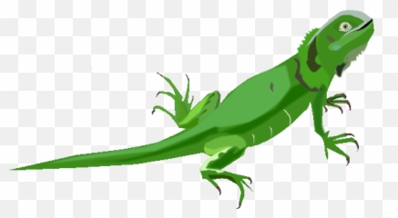 Iguana Animada Png Image - Iguana Para Niños,Iguana Png