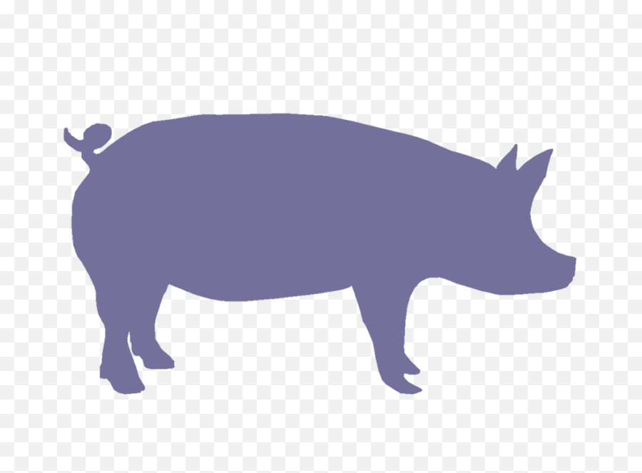 Cute Pig Silhouette Png Clipart - Pink Pig Silhouette,Face Silhouette Png