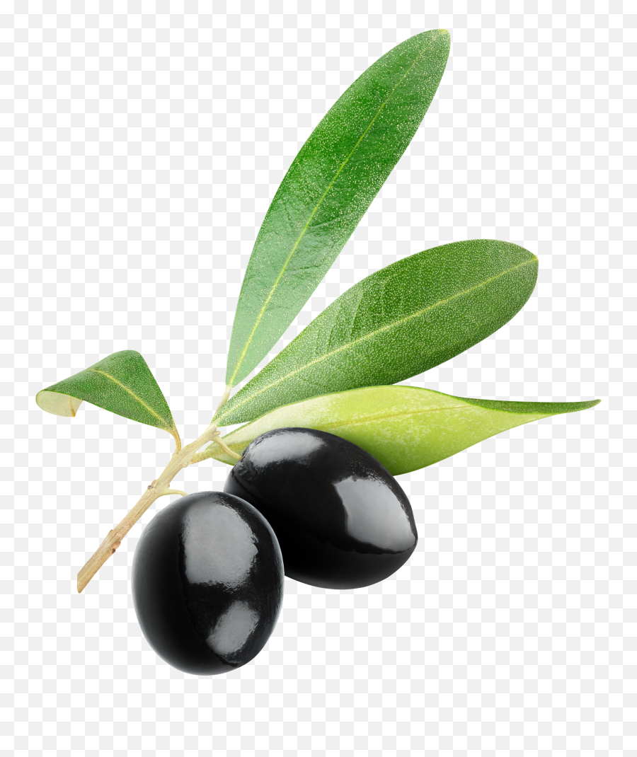 Olives In Png Web Icons - Black Olives Vector Png,Olive Png