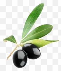 Olives In Png Web Icons - Black Vector Png
