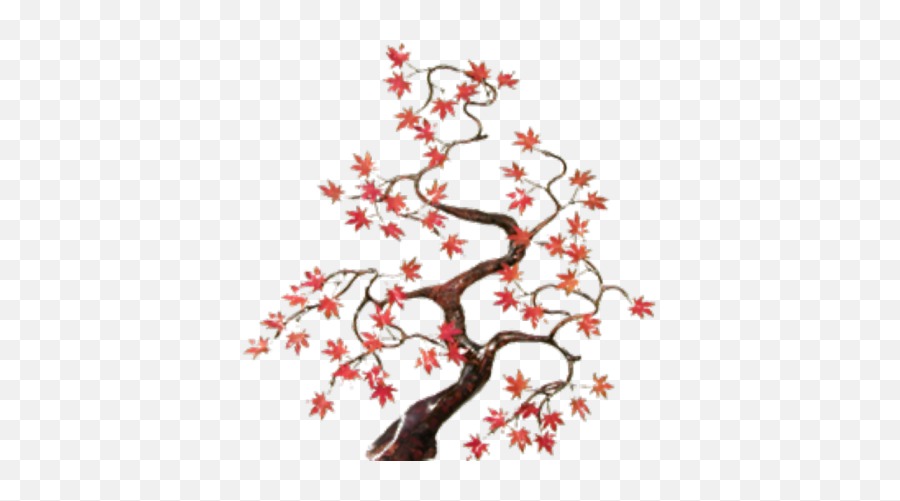 Japanese Maple Transparent - Roblox Png,Japanese Maple Png