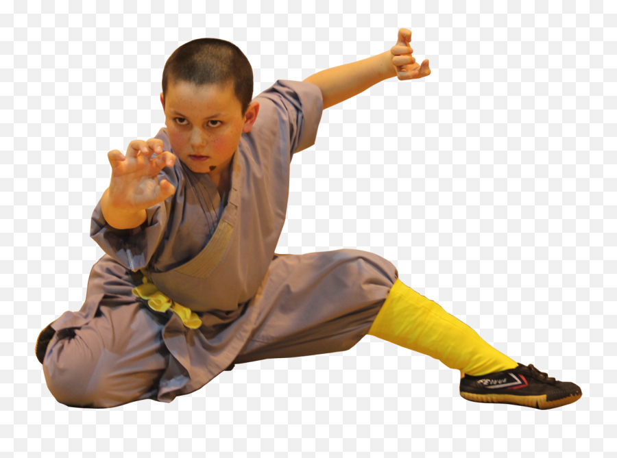 Toby Chen - Wushu Shaolin Kung Fu Photo Download Png,Kung Fu Png
