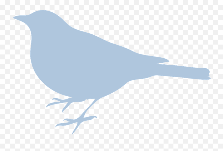 Bluebird Blue Bird - Bird Silhouette Clip Art Png,Blue Bird Png