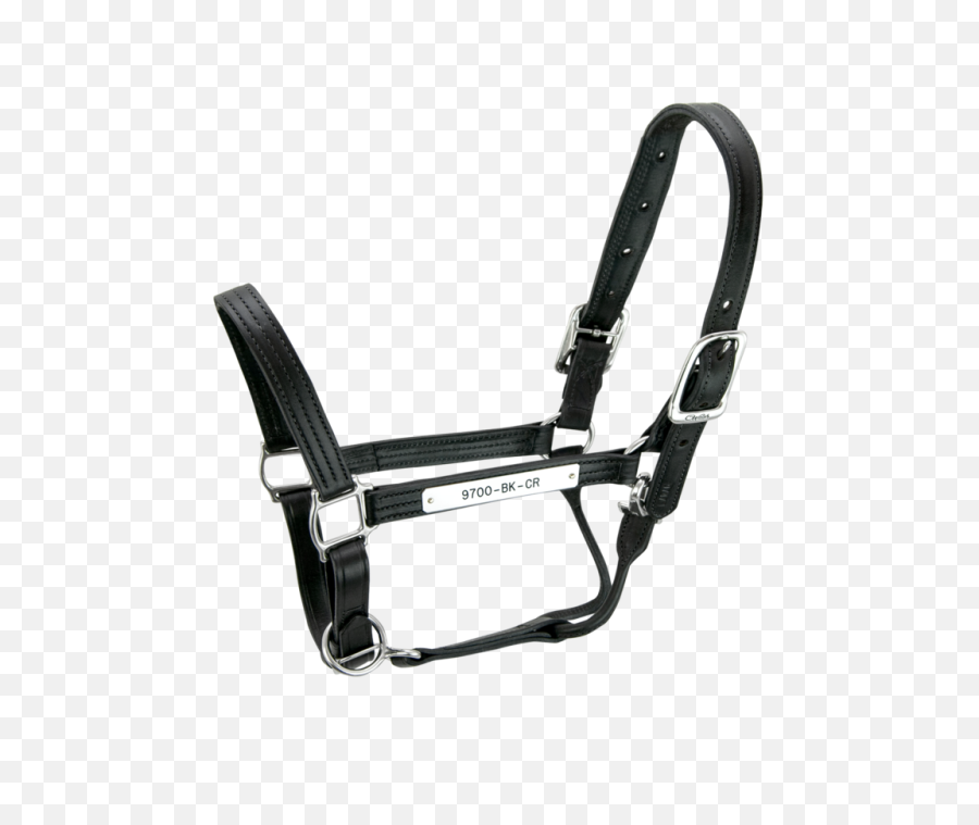 Equestrian Equipment Horse - Black Halters For Horses Png,Tack Png