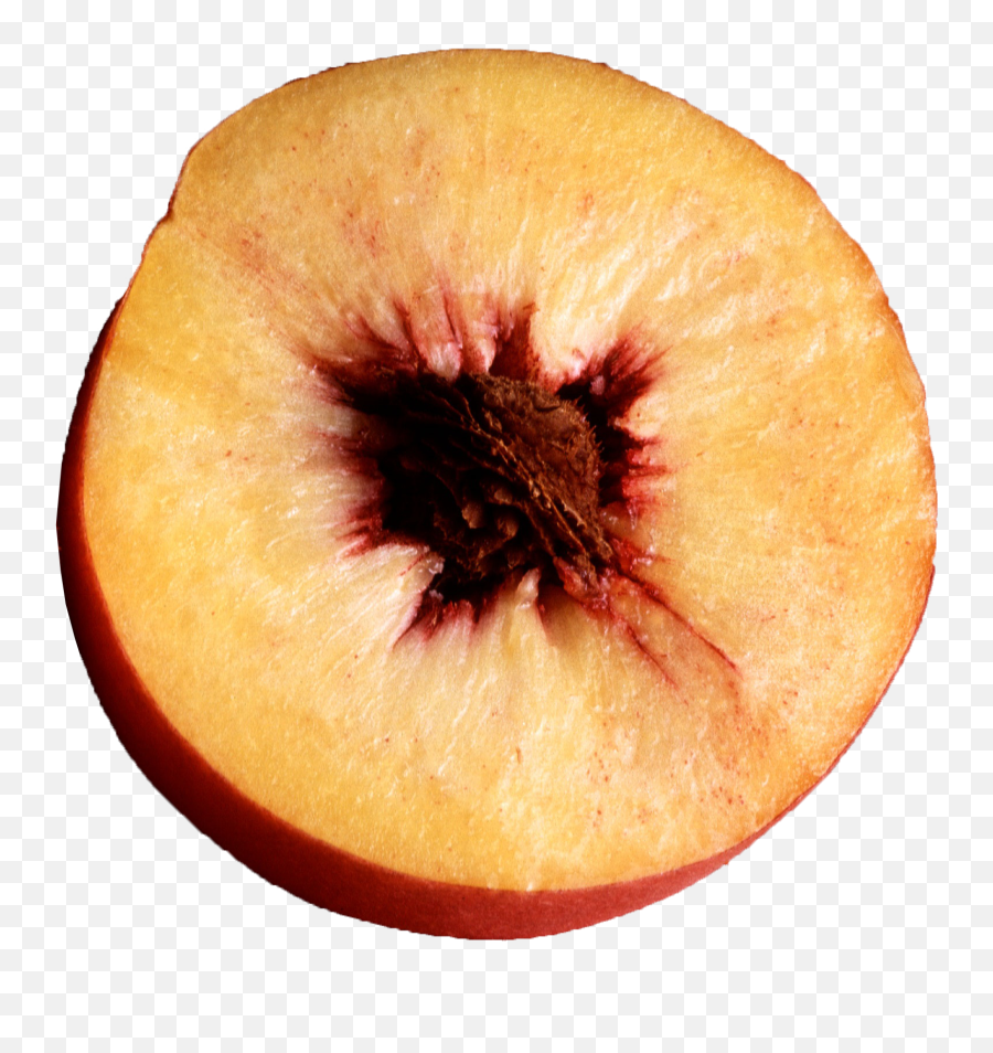 Download Peach Halved Png Image For Free - Halved Peach,Peach Png
