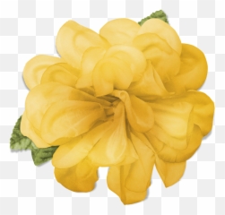Yellow Flower - Crown Transparent png