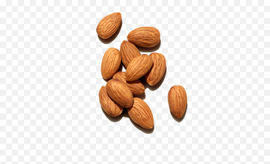 Best Ingredients For Hair Sweet Almond Oil Prose - Sweet Almonds Transparent Png,Almond Transparent