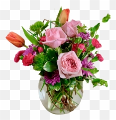 Blush Of Spring - Floribunda Png,Blush Transparent