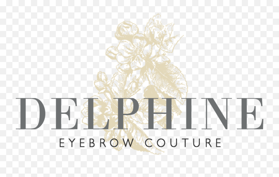 Delphine Eyebrow Couture - Graphic Design Png,Brows Png