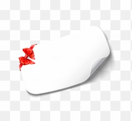 Blank Png Sticker Free Download - Photo 321 PngFilenet Vector