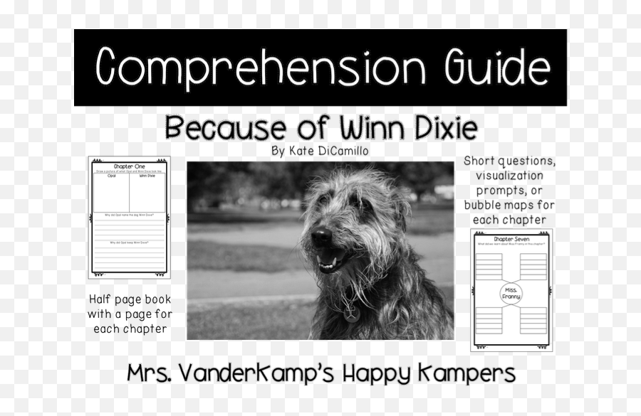 Because Of Winn - Dixie By Kate Dicamillo Comprehension Guide Journeys Because Of Winn Dixie Tri Fold Png,Winn Dixie Logo
