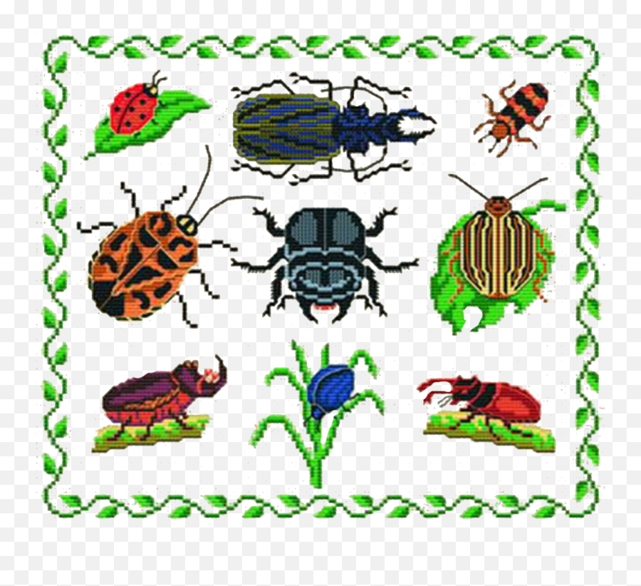 Transparent Pngs For All Ur Seethrough - Insectes,Bugs Png