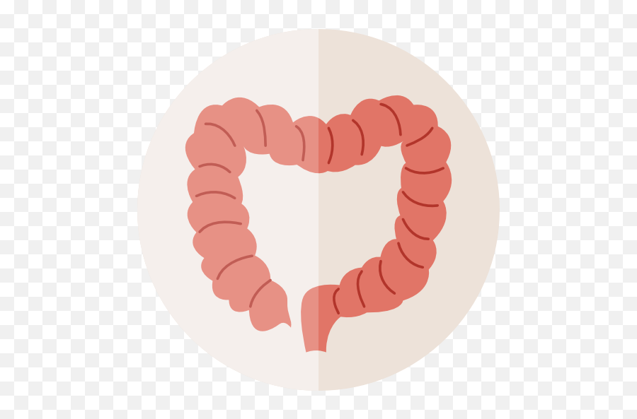 Part Colon Medical Organ Healthcare - Colon Icons Png,Intestine Icon