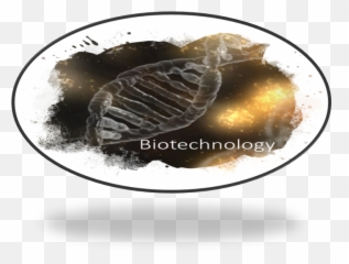 Pathways - Art png