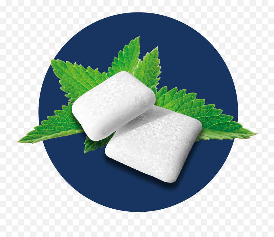 Home - Axo Dental Confectionery Png,Gum Icon