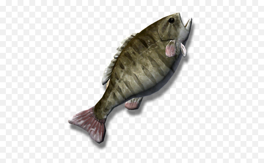 Food And Drink The Long Dark Wiki Fandom - Fishes Png,Kuiu Icon 6000