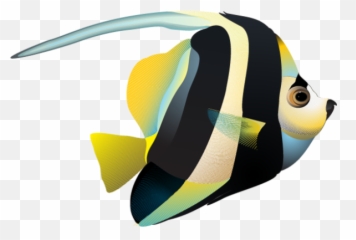 Download Ocean Fish Png Photo For