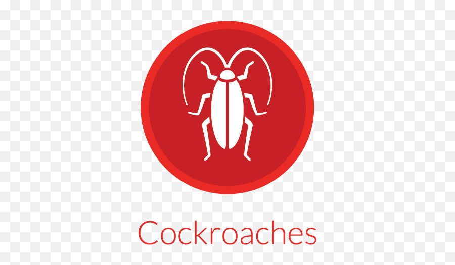 Crown Pest Control Top Rated In Charlotte Nc - Design Cockroach Logo Png,Cockroach Icon