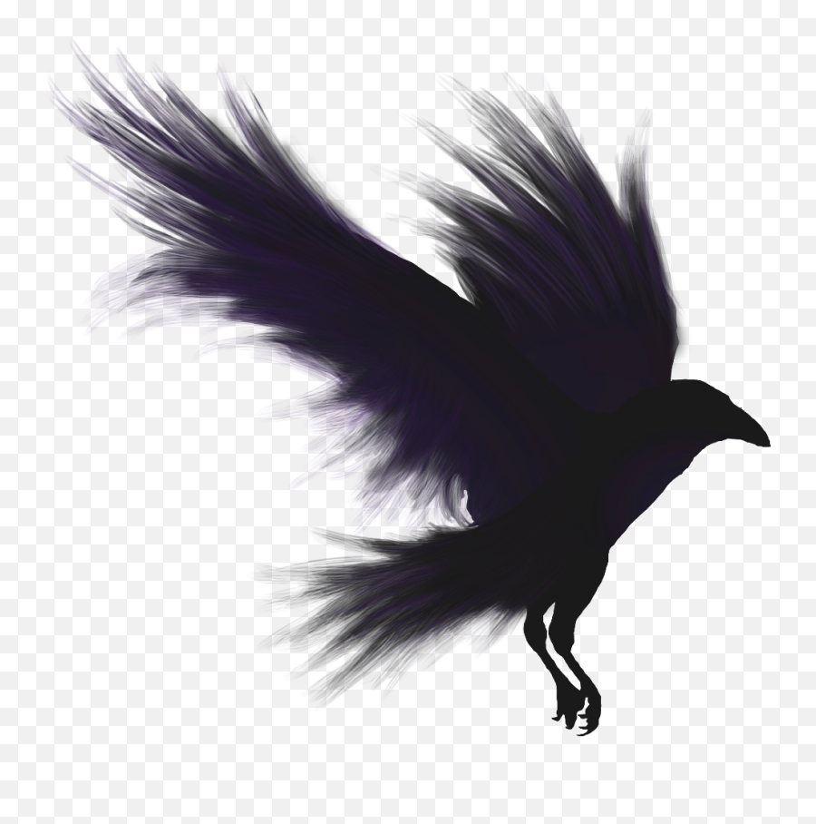 Download Crows Shadow Emblem - Raven Png,Raven Png