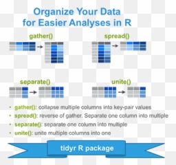 Tidyr Crucial Step Reshaping Data With For Easier Png