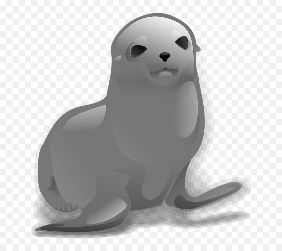Download Seal Animal Png - Seal Clip Art,Animal Clipart Png