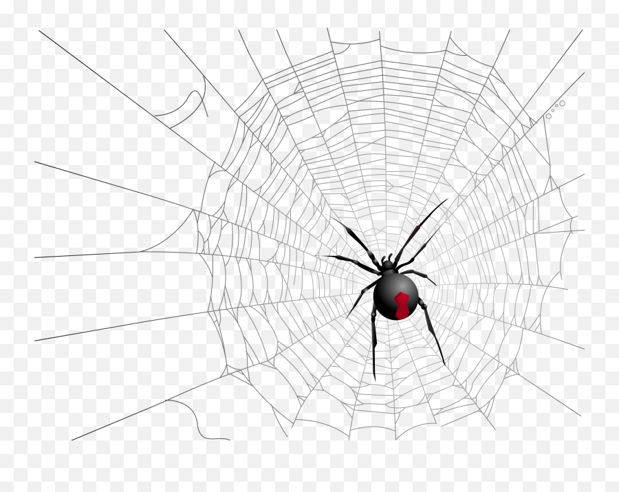 Library Of Free Halloween Spider Web Image Royalty Png - Halloween White Spider Webs For Glass,Transparent Spider Web