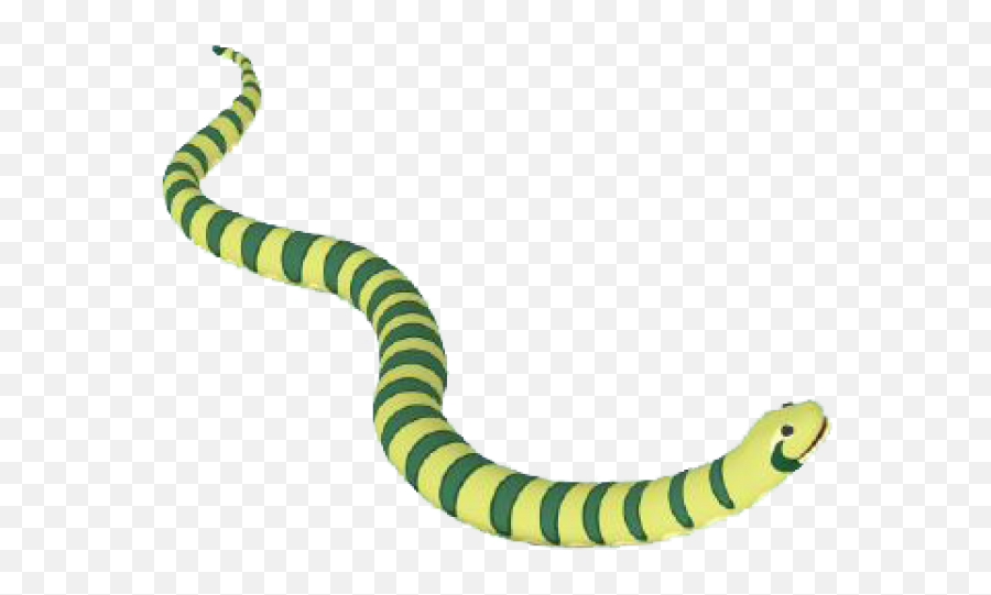 Anaconda Clipart Tail - Green Anaconda Png,Anaconda Png