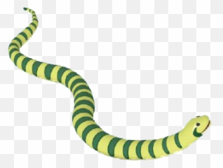 Anaconda Clipart Tail - Green Anaconda Png,Anaconda Png